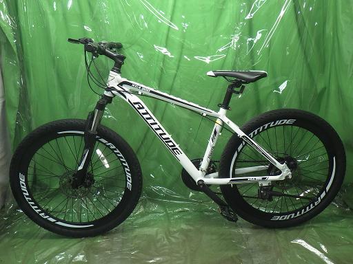 565806001　　クリックすると、もっと大きい画像を表示