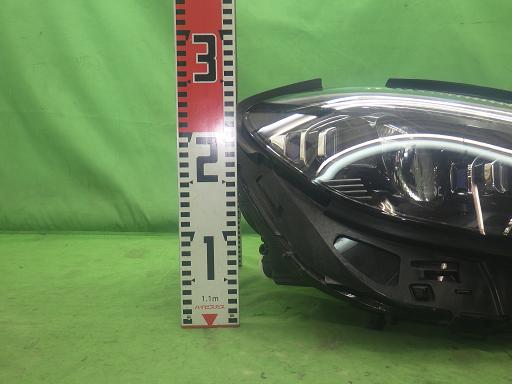 564344001　　クリックすると、もっと大きい画像を表示