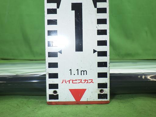 565446025　　クリックすると、もっと大きい画像を表示