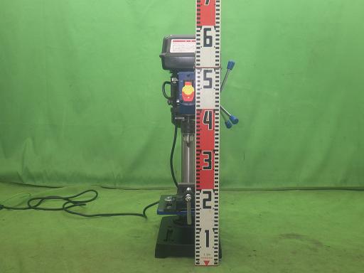 565474005　　クリックすると、もっと大きい画像を表示