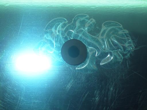 565927003　　クリックすると、もっと大きい画像を表示