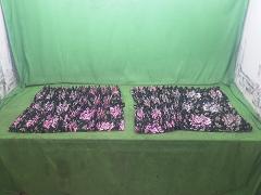 クリックすると拡大表示します