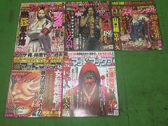 クリックすると拡大表示します