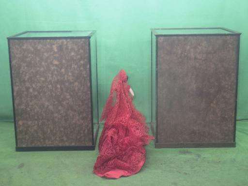 565398002　　クリックすると、もっと大きい画像を表示