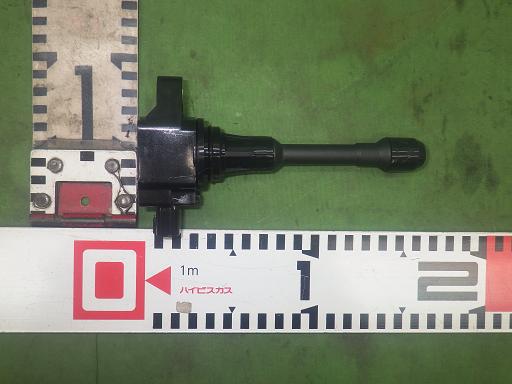 565053003　　クリックすると、もっと大きい画像を表示