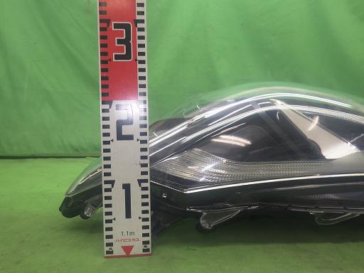 564945005　　クリックすると、もっと大きい画像を表示