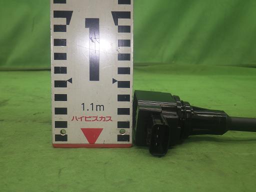 565053003　　クリックすると、もっと大きい画像を表示