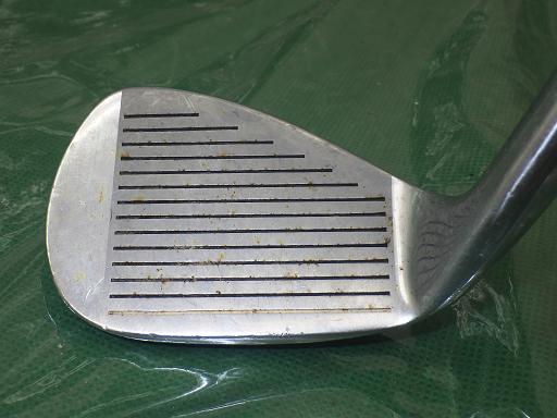 513057006　　クリックすると、もっと大きい画像を表示