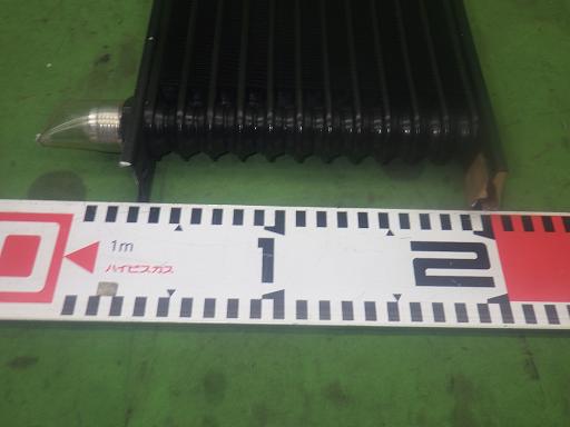 563939005　　クリックすると、もっと大きい画像を表示