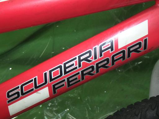 564973001　　クリックすると、もっと大きい画像を表示