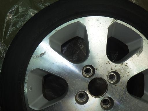 565478001　　クリックすると、もっと大きい画像を表示