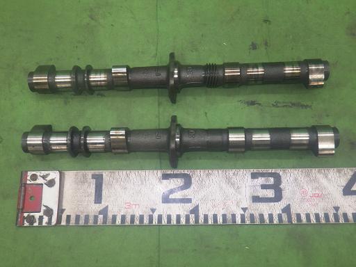 565549001　　クリックすると、もっと大きい画像を表示