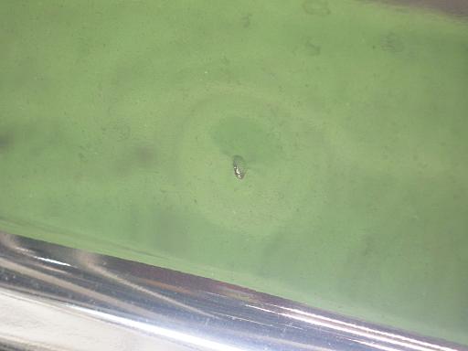 565650001　　クリックすると、もっと大きい画像を表示