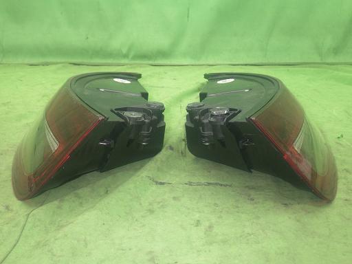 565657005　　クリックすると、もっと大きい画像を表示