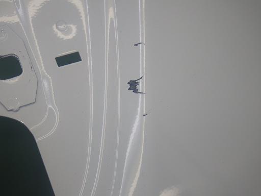 563996003　　クリックすると、もっと大きい画像を表示