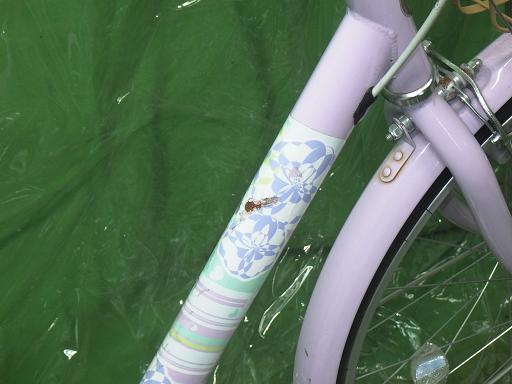 564656001　　クリックすると、もっと大きい画像を表示