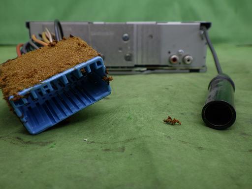 566303016　　クリックすると、もっと大きい画像を表示