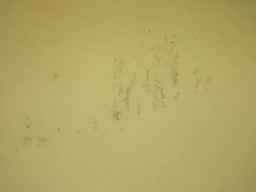 563762001　　クリックすると、もっと大きい画像を表示