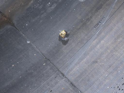 565355002　　クリックすると、もっと大きい画像を表示