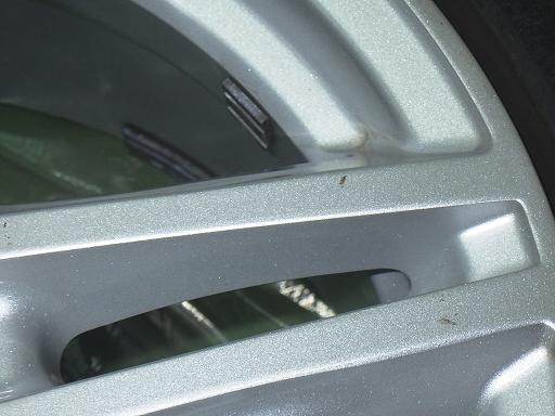 565590001　　クリックすると、もっと大きい画像を表示