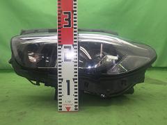 クリックすると拡大表示します